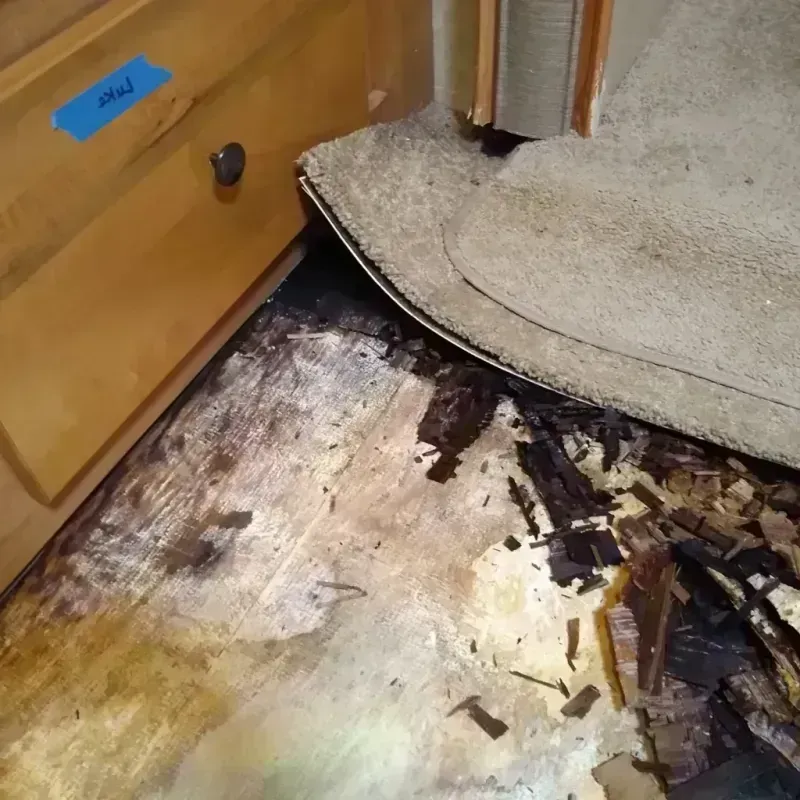 Best Wood Floor Water Damage Service in Beaver Falls, PA